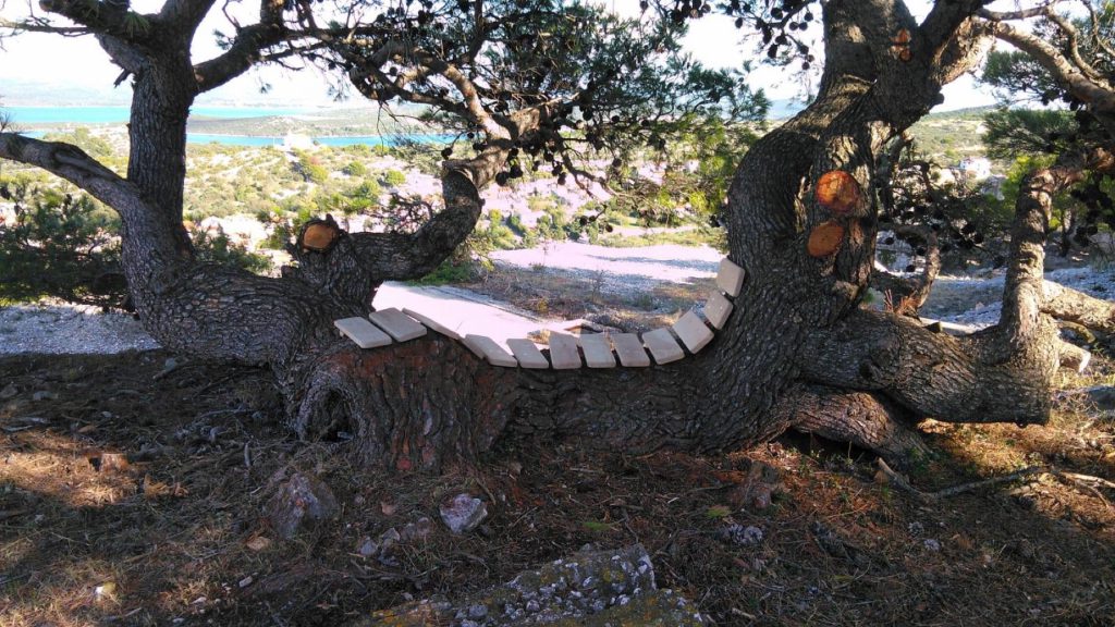 Drvena klupica izrađena na deblu velikog bora na brdu Raduč